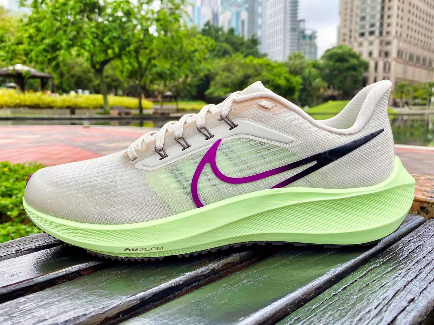 Nike Air Zoom Pegasus 39