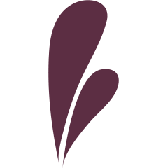 E'MAR Icon